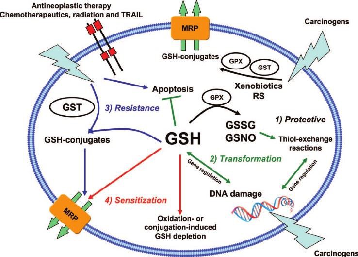 Function of glutathione powder for skin
