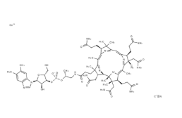 2025-11-17 164700 2025-11-17 164700